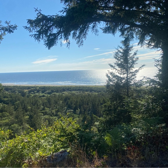 Meet your Posher, Jamie - Picture 1 of 1